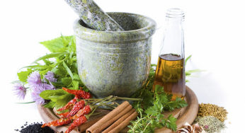 Top 10 Homeopathic Remedies