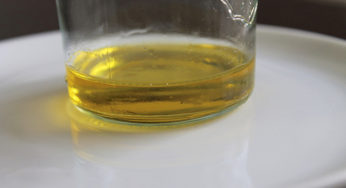 Top 10 Best Ways to Use Tea Tree Melaleuca Essential Oil