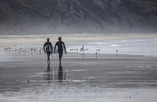 surfing in Waddell Creek beach in santa cruz photo