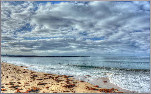 Seal Beach california photo