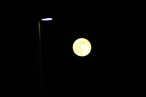 Light of moon photo