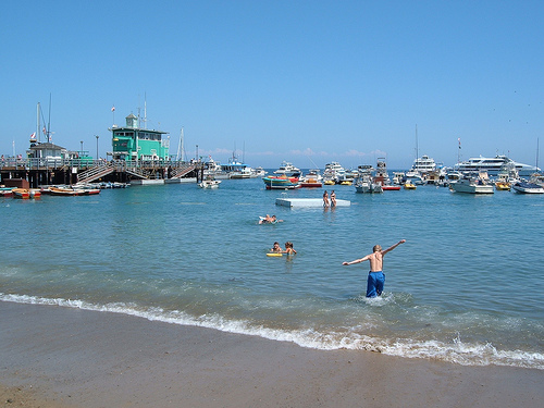 Catalina Island beach photo