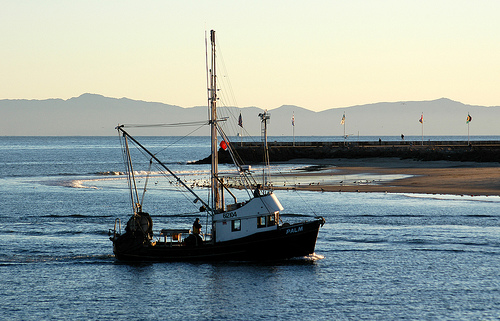 Boat & Bed Dockside california photo