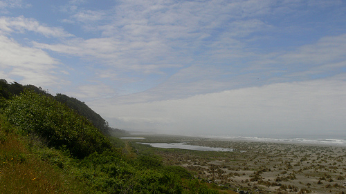 Beach country park in arcata photo