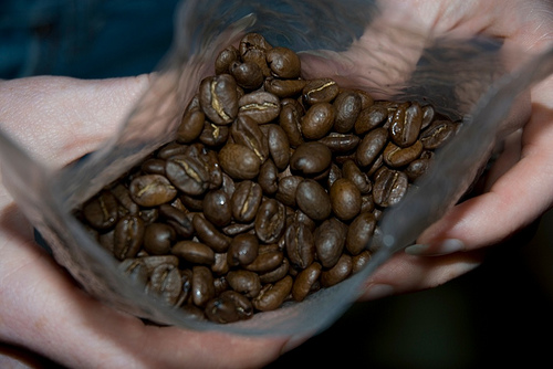 Civet Coffee photo