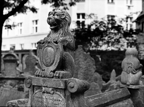 Old Jewish Cemetery photo