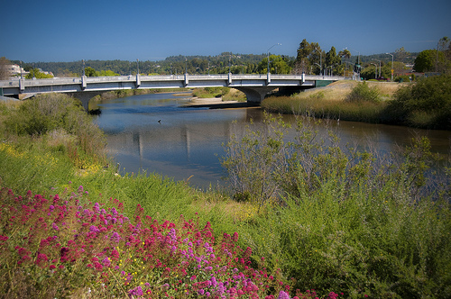 San Lorenzo River in santa cruz photo