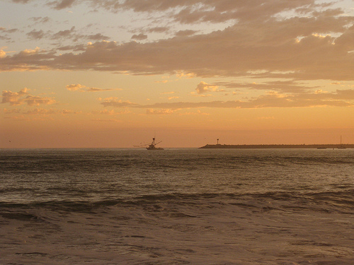 Doheny State Beach photo