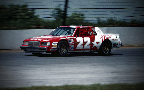 Bobby Allison photo