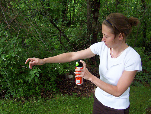 Insect Repellent photo