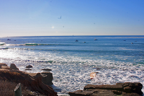 Seaside Reef in San Diego photo