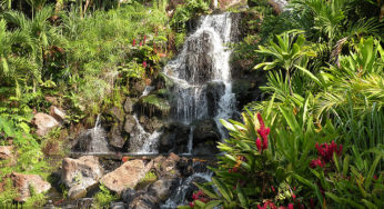 Top 10 Family Vacation Resorts